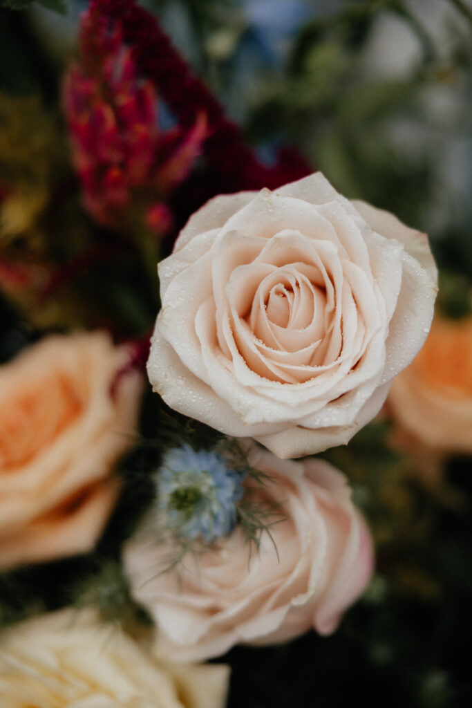 detail of a flowers with raindrops